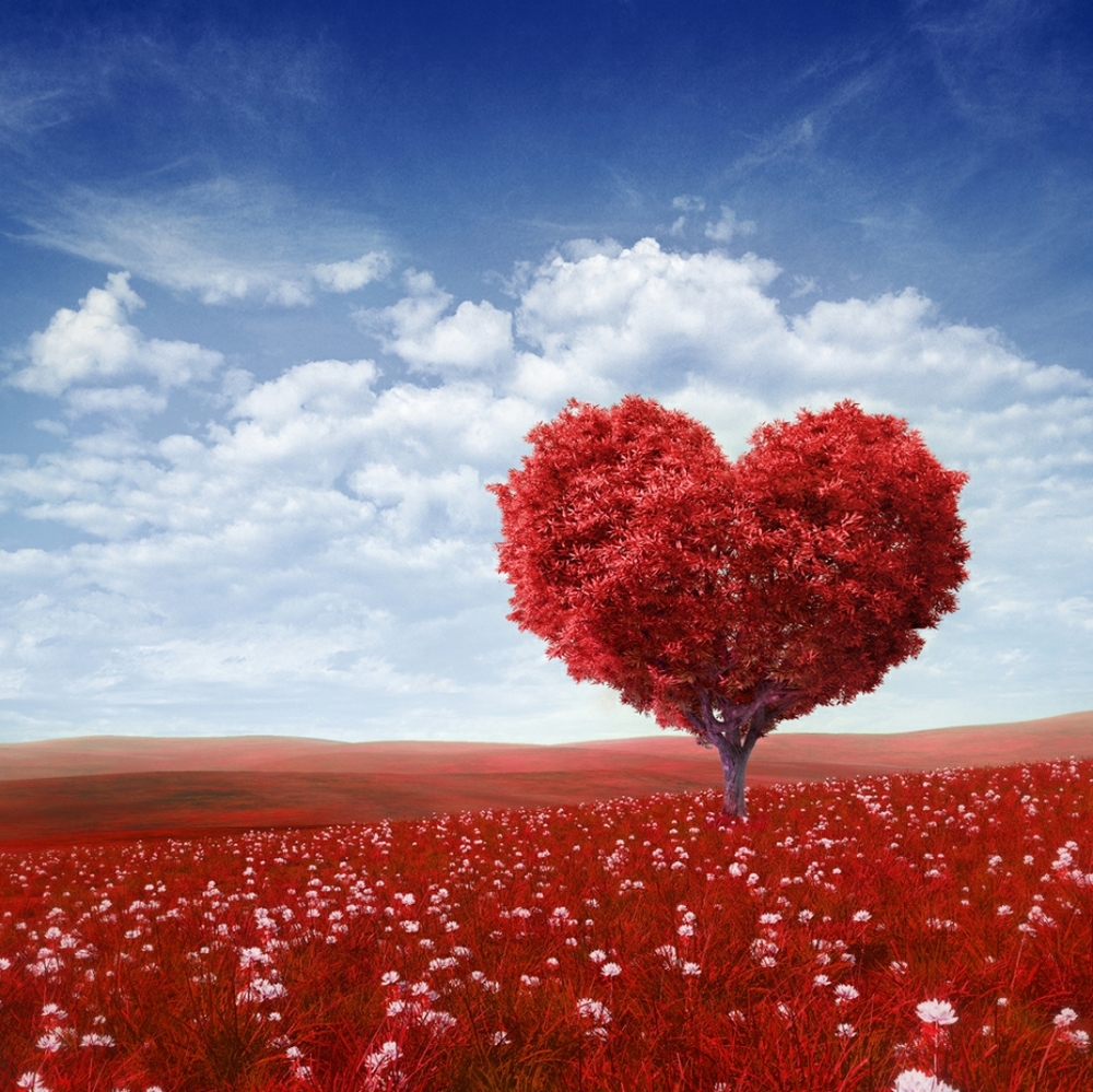 ❤️HAPPY POSHING!❤️